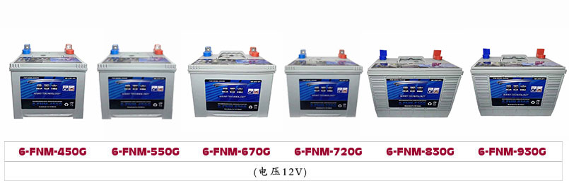 思吾高蓄电池6-FNM-930G   11.jpg